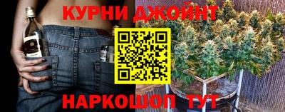 прущие грибы Апшеронск