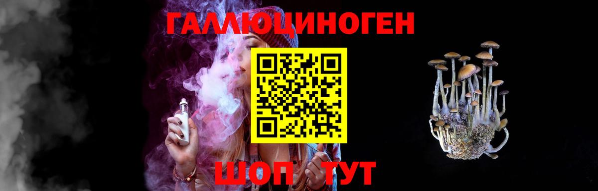 Всеволожск  Галлюциногенные грибы Cubensis  Вход с VPN 