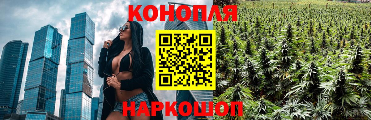 Бошки Шишки конопля Всеволожск